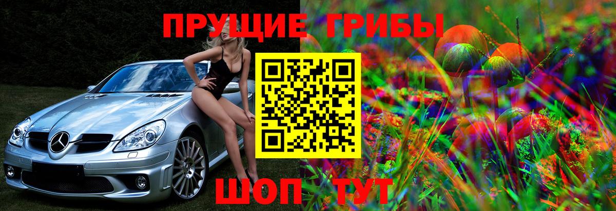 Псилоцибиновые грибы мицелий Строитель