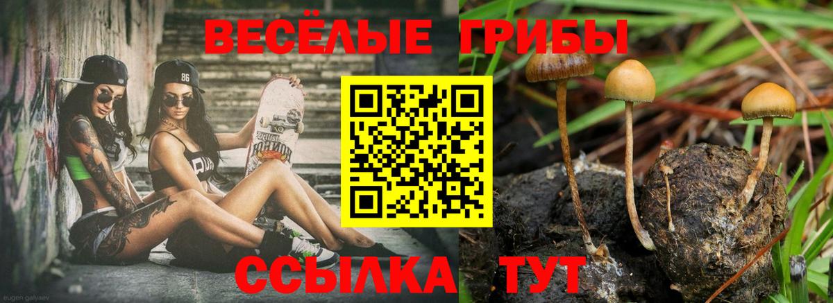 Строитель  Псилоцибиновые грибы мухоморы  Вход с VPN  что такое наркотик  Псилоцибиновые грибы Psilocybine cubensis 